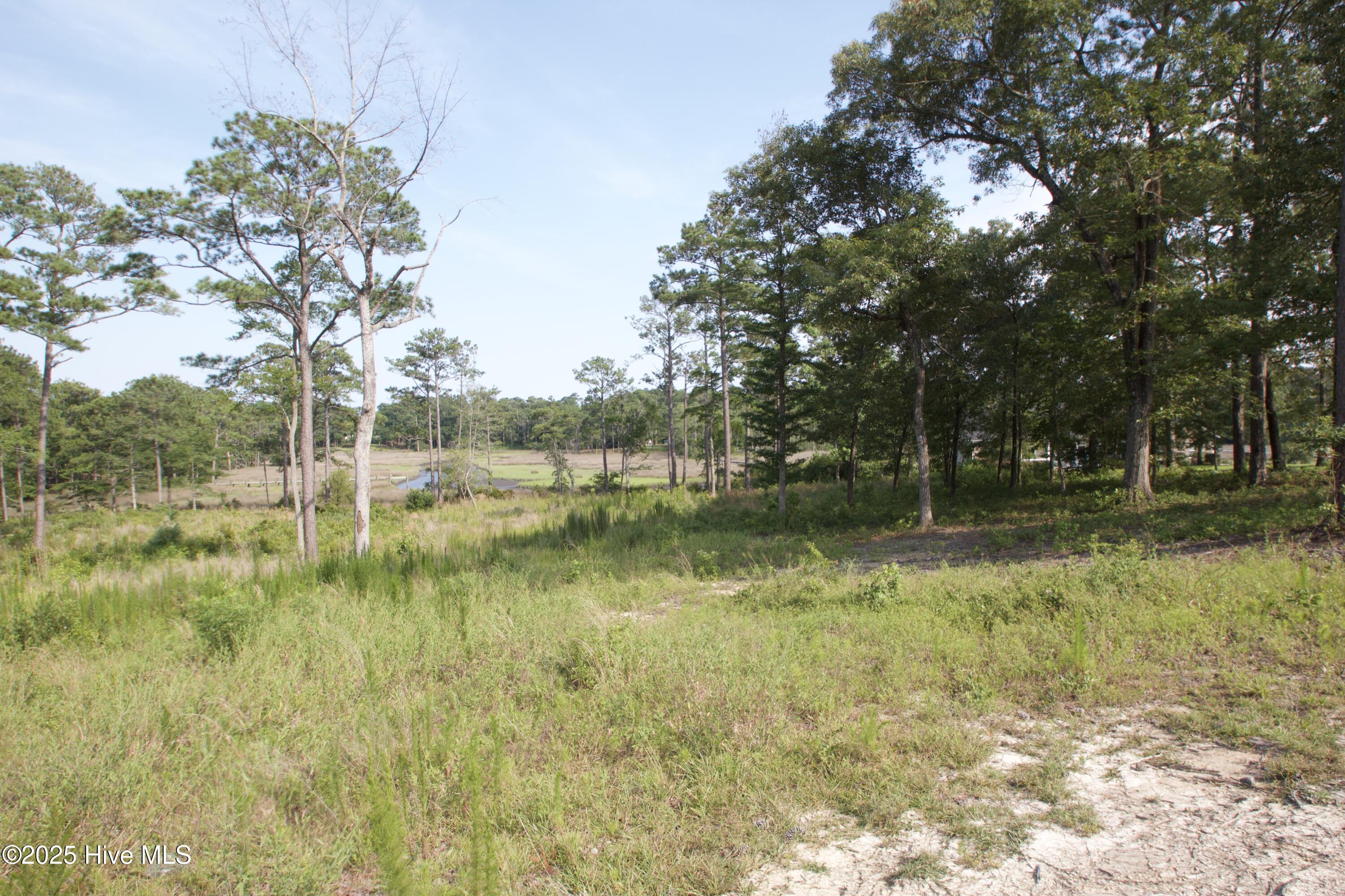 407 Salt Creek Road Swansboro, NC 28584 - Photo 4 of 26 IMG_8663