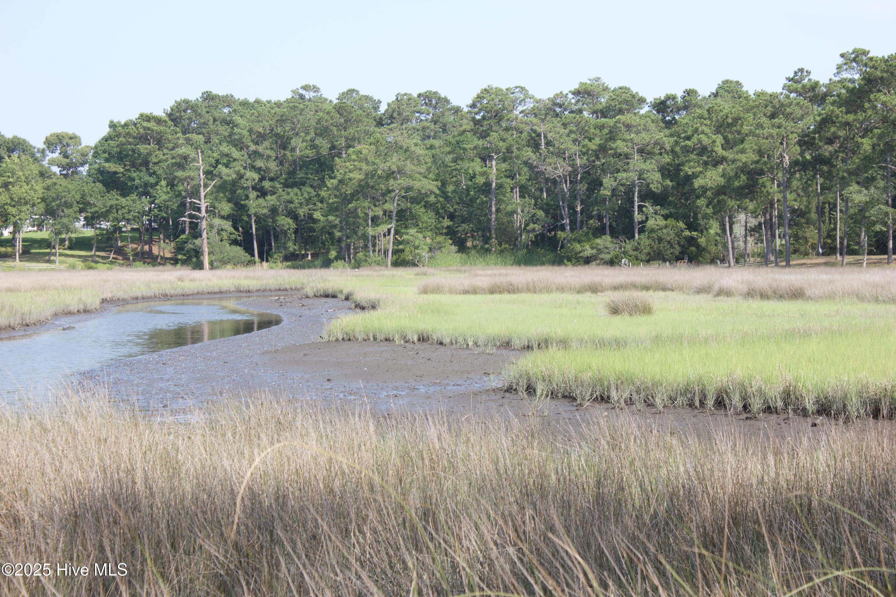 407 Salt Creek Road Swansboro, NC 28584 - Photo 5 of 26 IMG_8644
