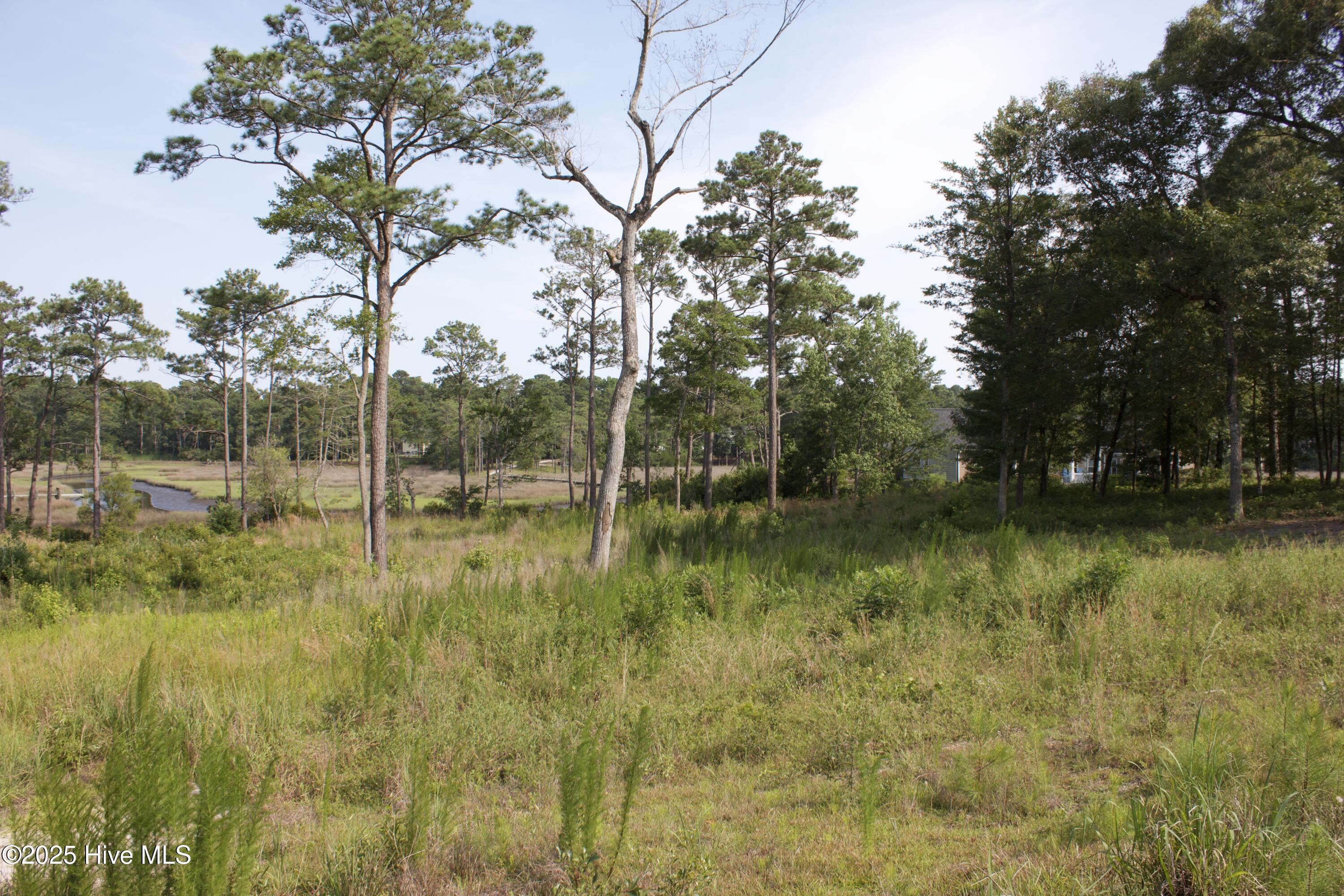 407 Salt Creek Road Swansboro, NC 28584 - Photo 5 of 26 IMG_8655