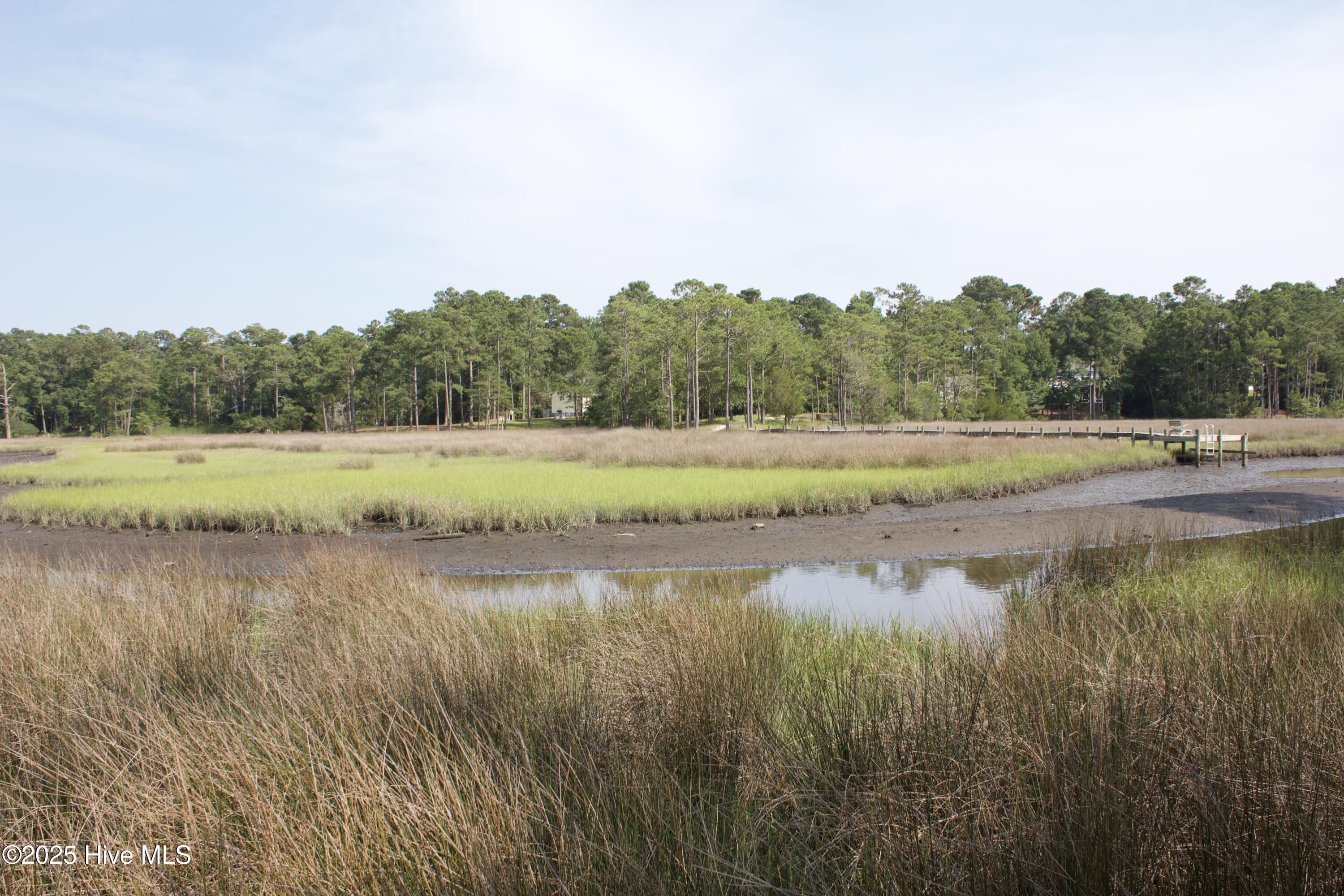 407 Salt Creek Road Swansboro, NC 28584 - Photo 6 of 26 IMG_8651