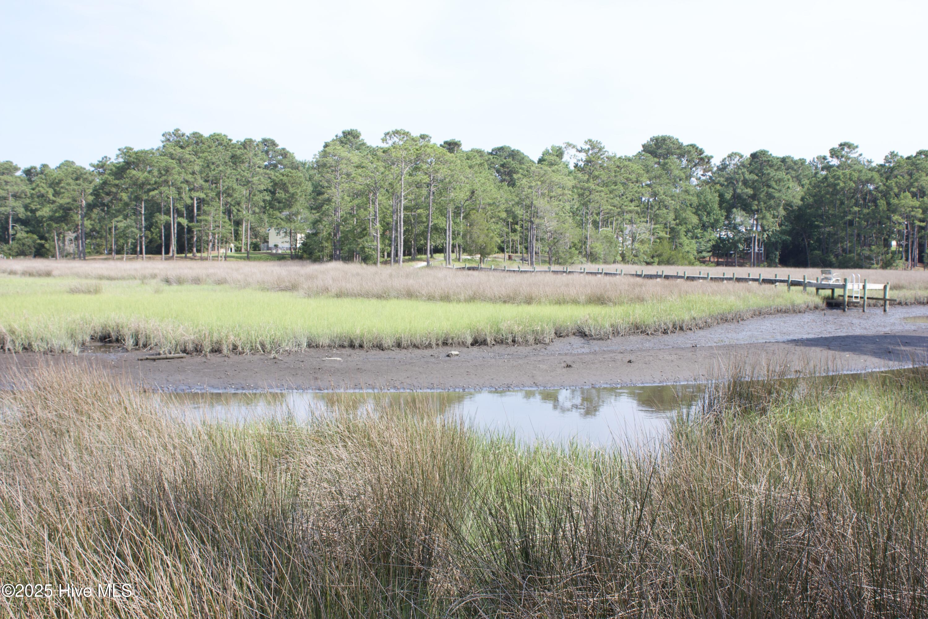 407 Salt Creek Road Swansboro, NC 28584 - Photo 8 of 26 IMG_8647