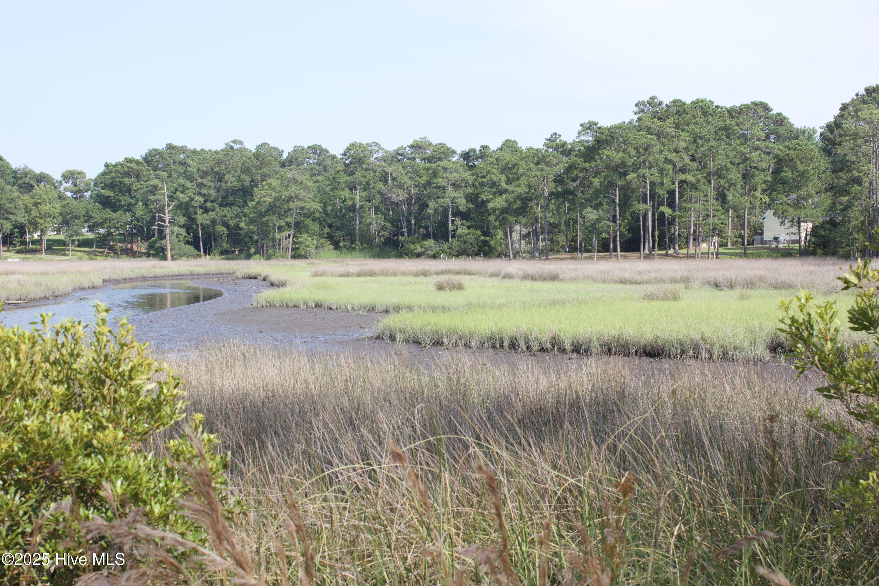 407 Salt Creek Road Swansboro, NC 28584 - Photo 8 of 26 IMG_8642