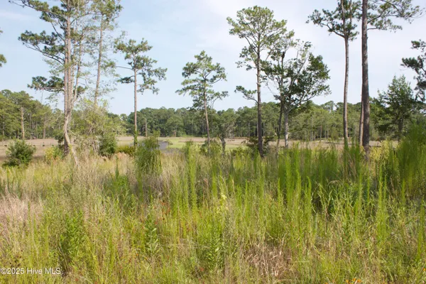 $160,000 | 407 Salt Creek Road, Swansboro, NC 28584