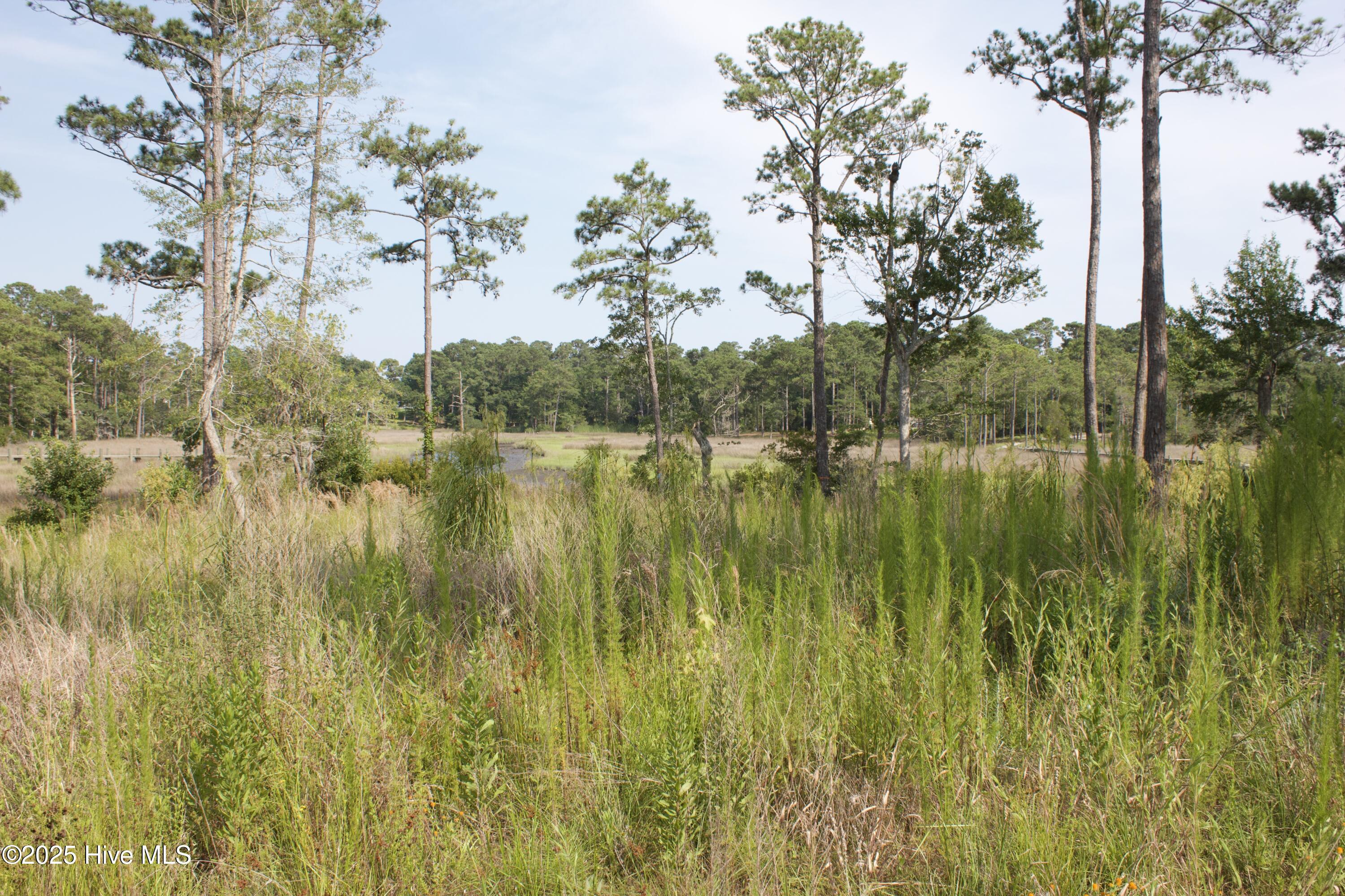 407 Salt Creek Road Swansboro, NC 28584 - Photo 9 of 26 IMG_8639