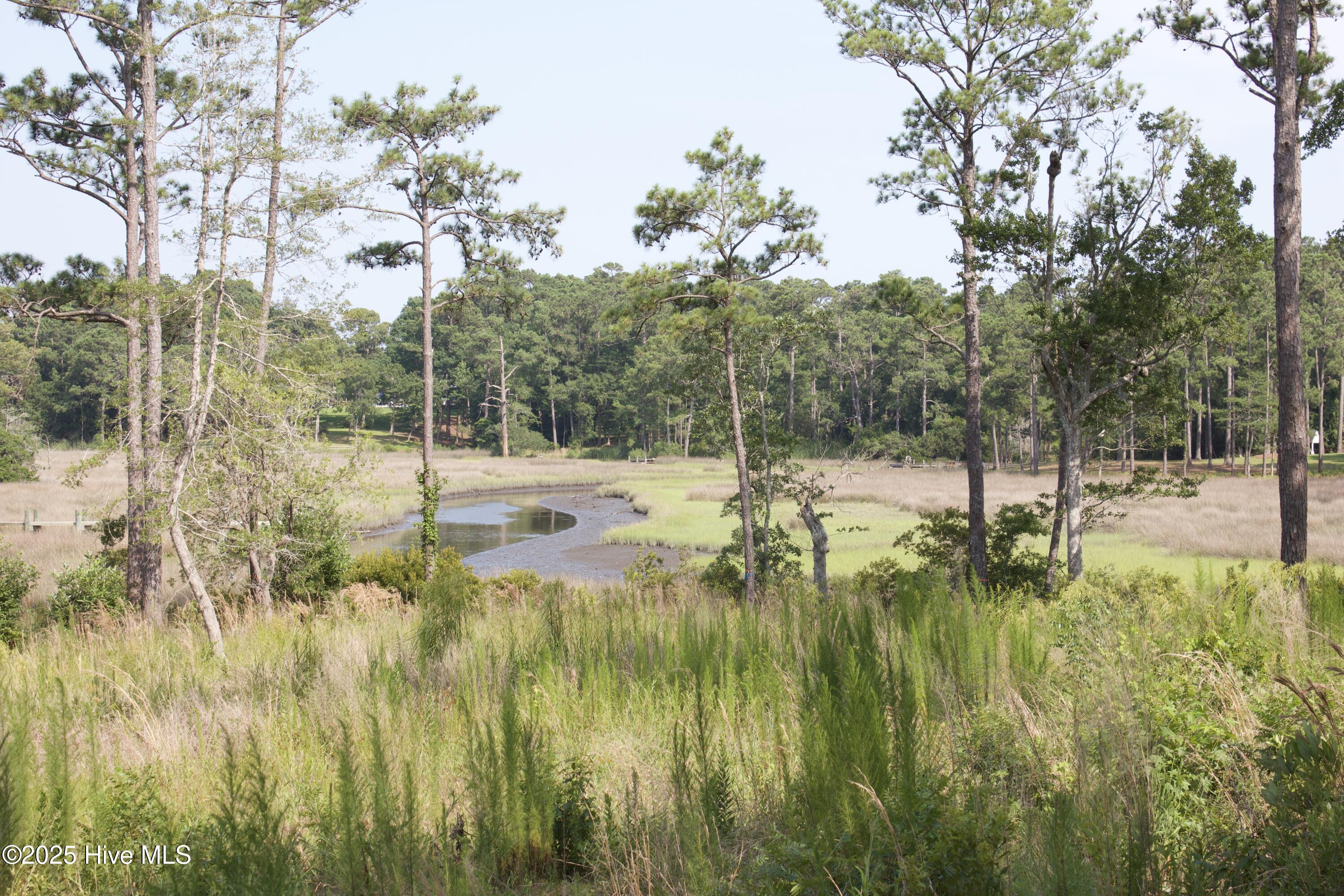 407 Salt Creek Road Swansboro, NC 28584 - Photo 10 of 26 IMG_8638