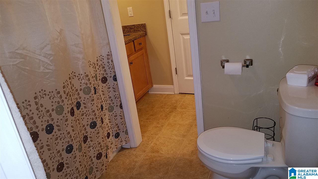 5520 Jean Ridge Lane Odenville, AL 35120 - Photo 41 of 49