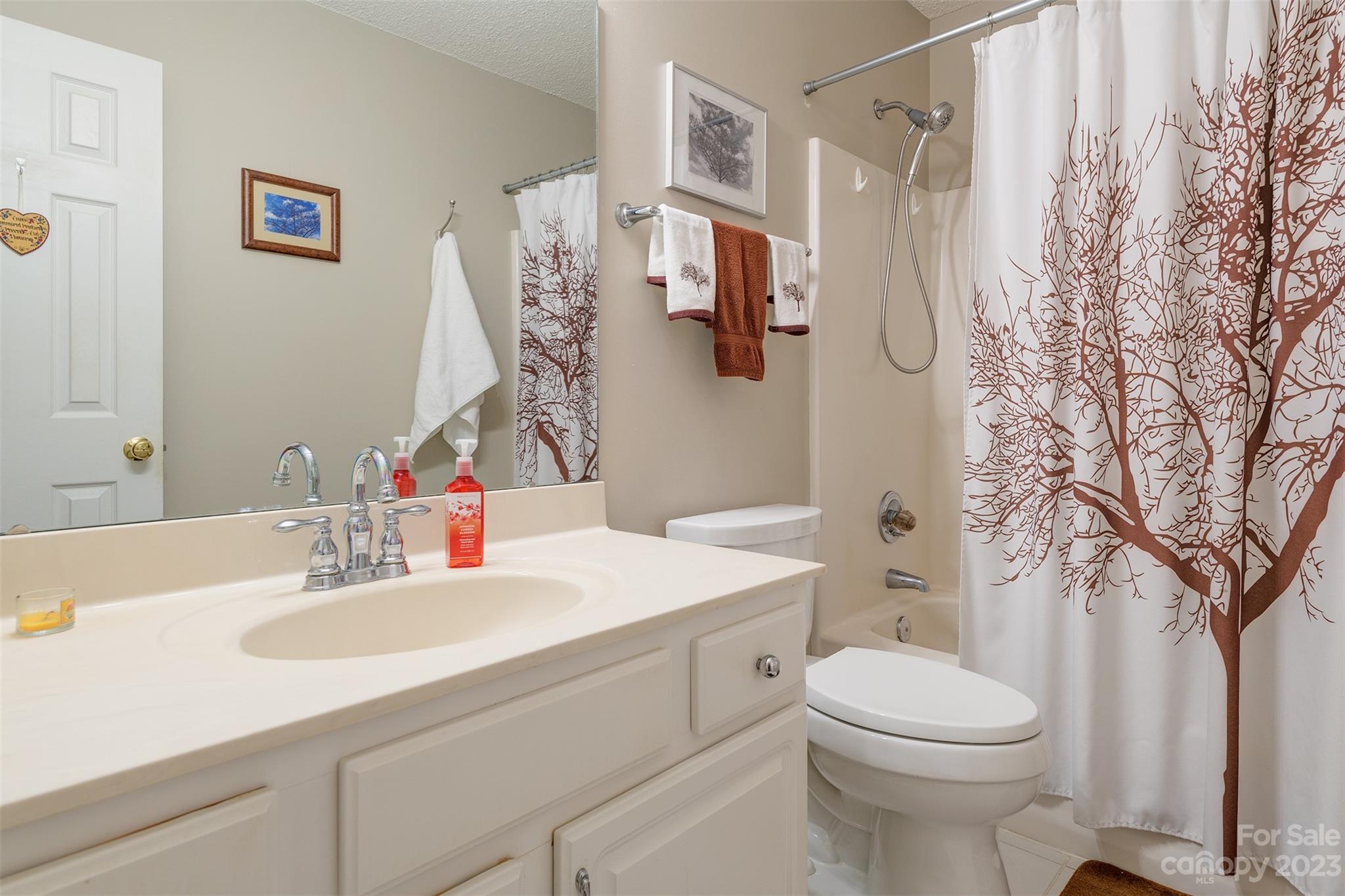 1315 Alexander Road Leicester, NC 28748 - Photo 19 of 28 a bathroom with a sink a toilet and shower