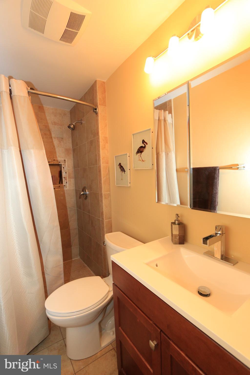 1535 Poplar Grove Drive Reston, VA 20194 - Photo 18 of 30 Renovated Master Bathroom