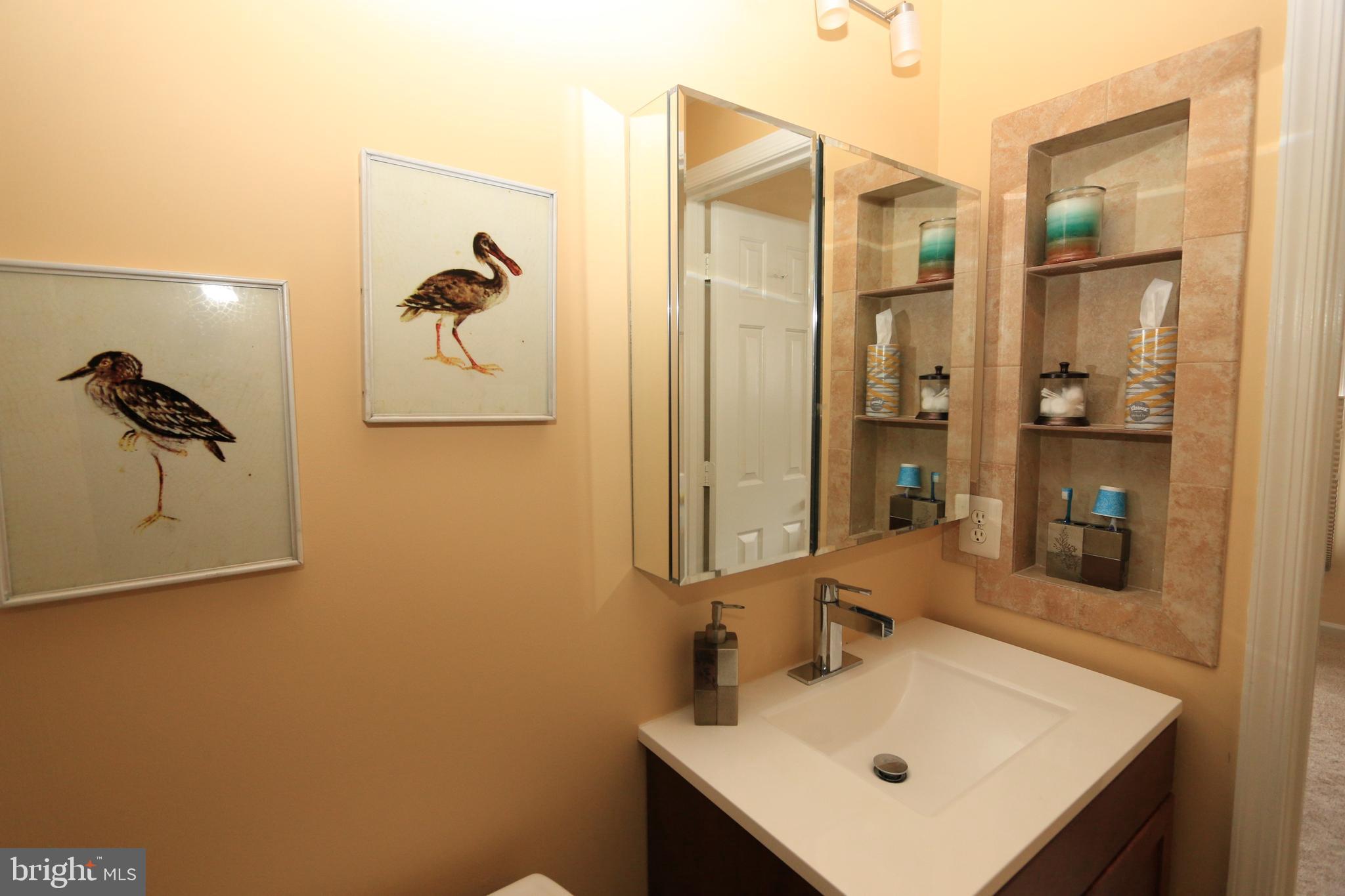 1535 Poplar Grove Drive Reston, VA 20194 - Photo 19 of 30 Master Bath