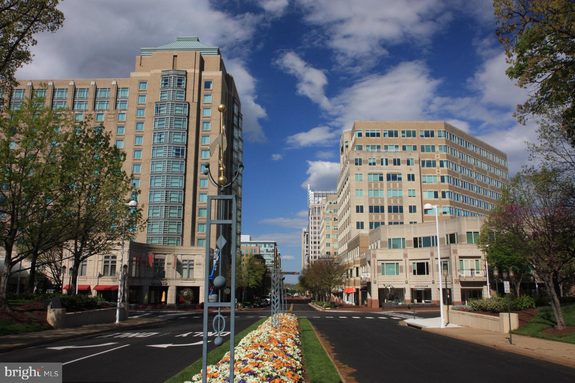 1535 Poplar Grove Drive Reston, VA 20194 - Photo 29 of 30 Reston Town Center
