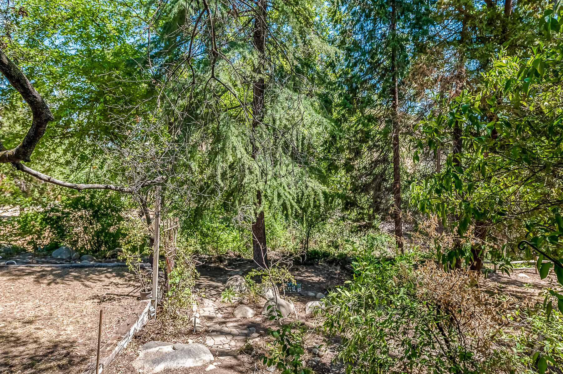 40768 Cherokee Oaks Drive Three Rivers, CA 93271 - Photo 48 of 60 Z62_6724