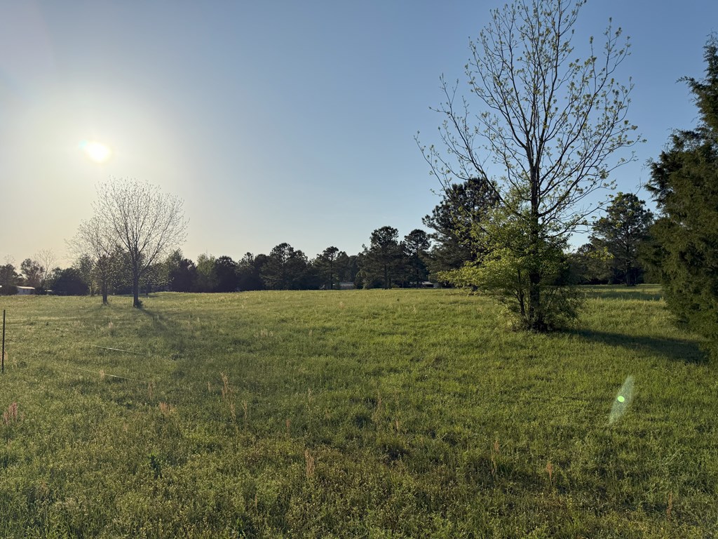 212 Man Hall Road Dothan, AL 36305 - Photo 31 of 39