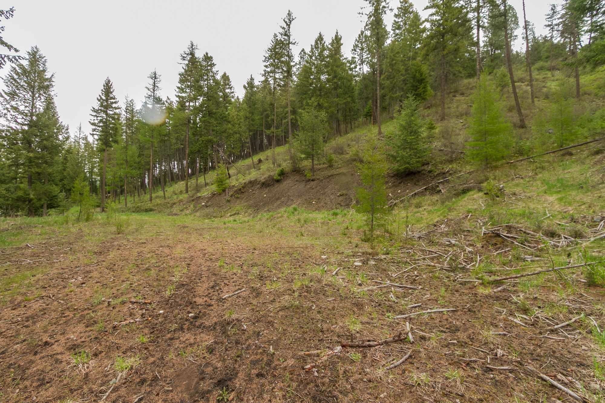 1053 Haller Creek Road Colville, WA 99114 - Photo 13 of 14