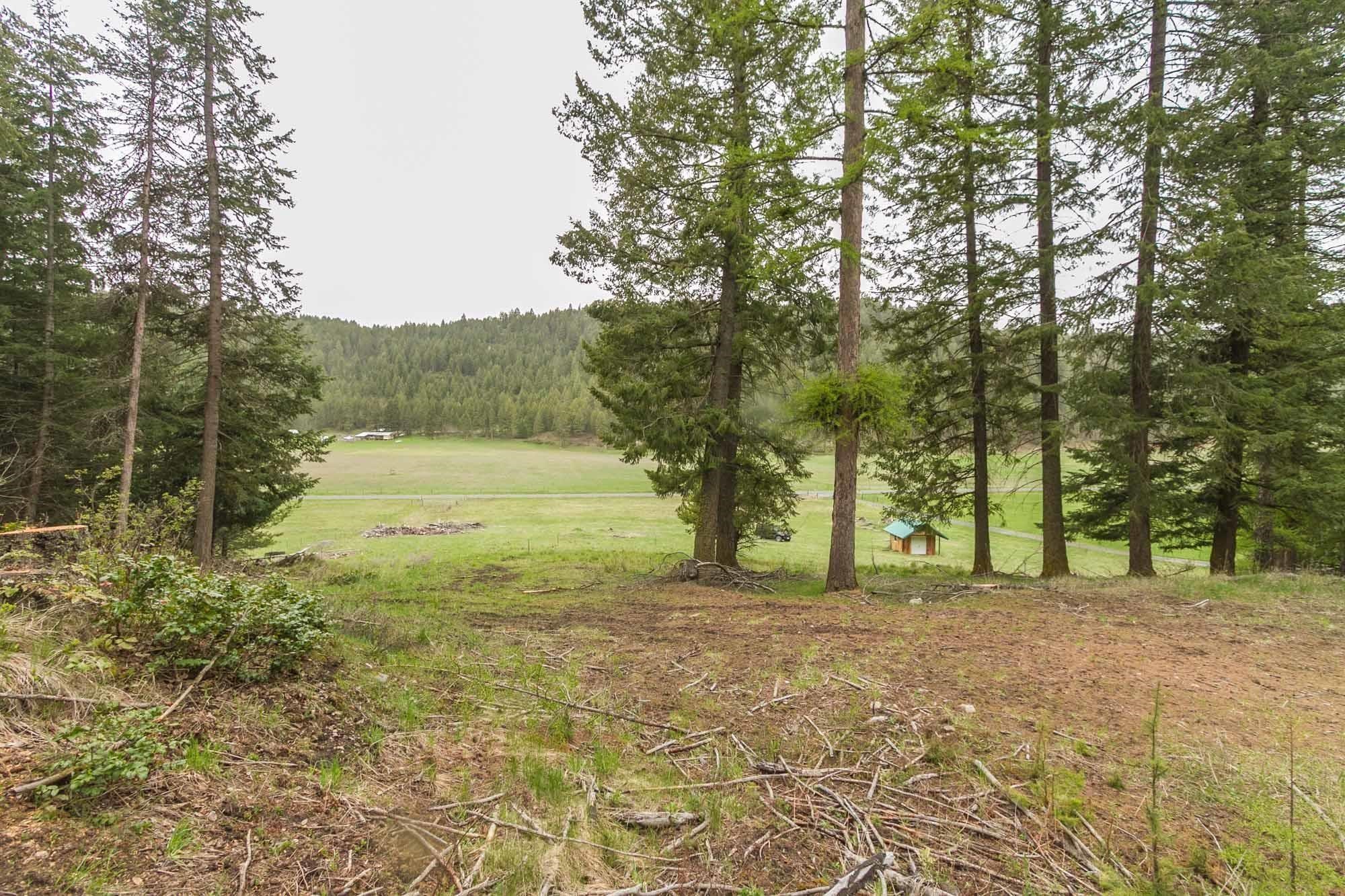 1053 Haller Creek Road Colville, WA 99114 - Photo 14 of 14