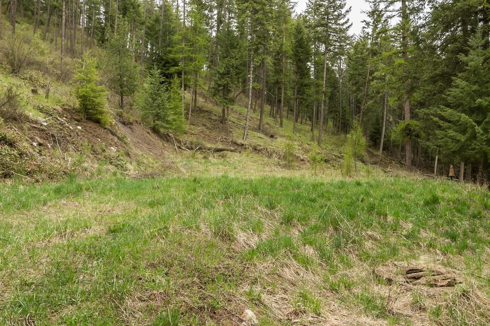 1053 Haller Creek Road Colville, WA 99114 - Photo 8 of 14