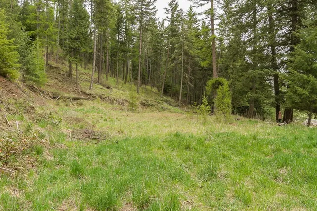 $130,000 | 1053 Haller Creek Road, Colville, WA 99114