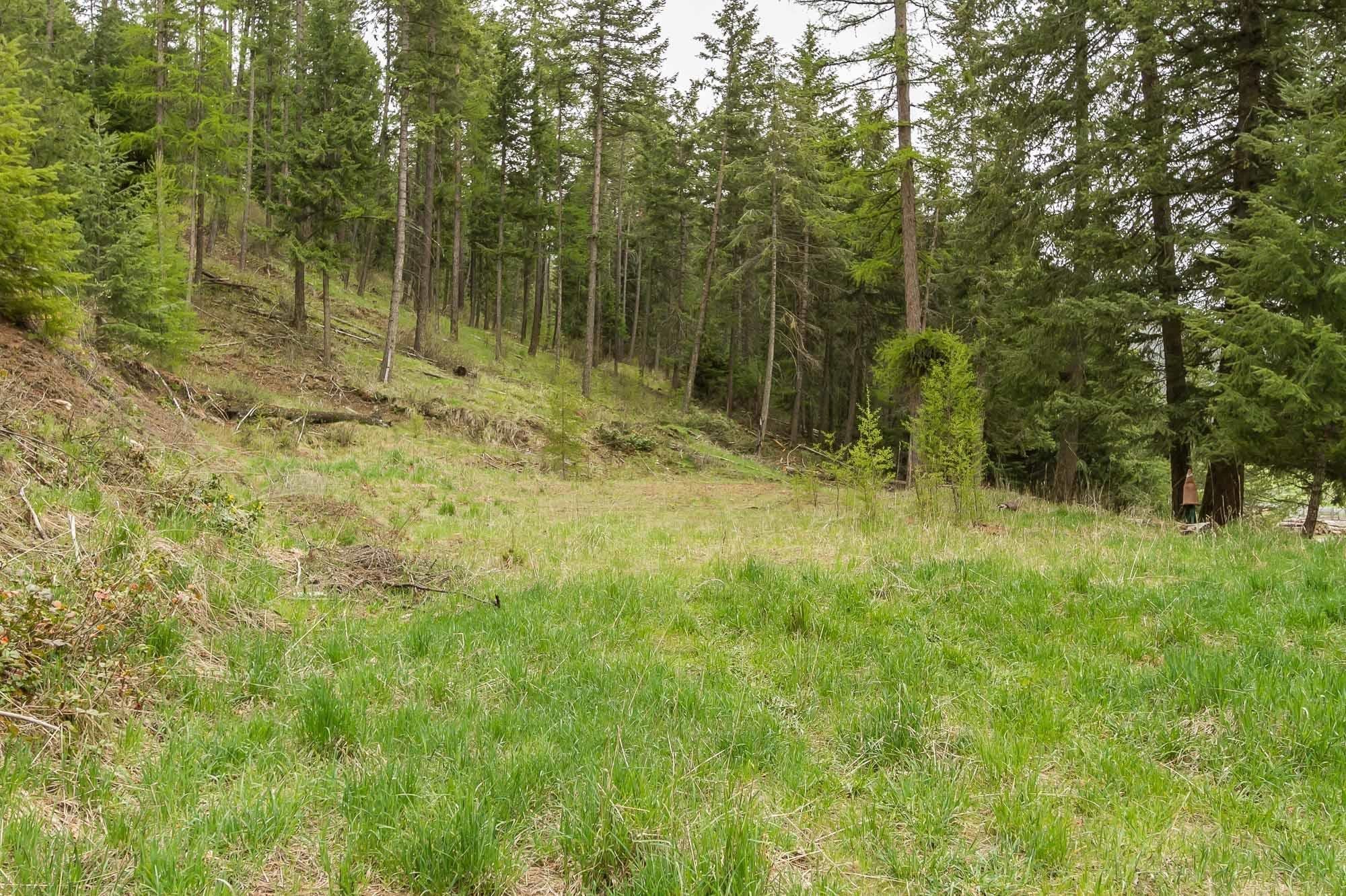 1053 Haller Creek Road Colville, WA 99114 - Photo 9 of 14