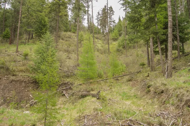 $130,000 | 1053 Haller Creek Road, Colville, WA 99114