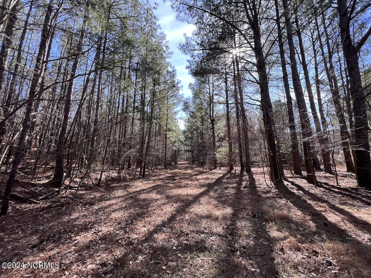 657 Collins Mill Road Castalia, NC 27816 - Photo 129 of 148 IMG_5107