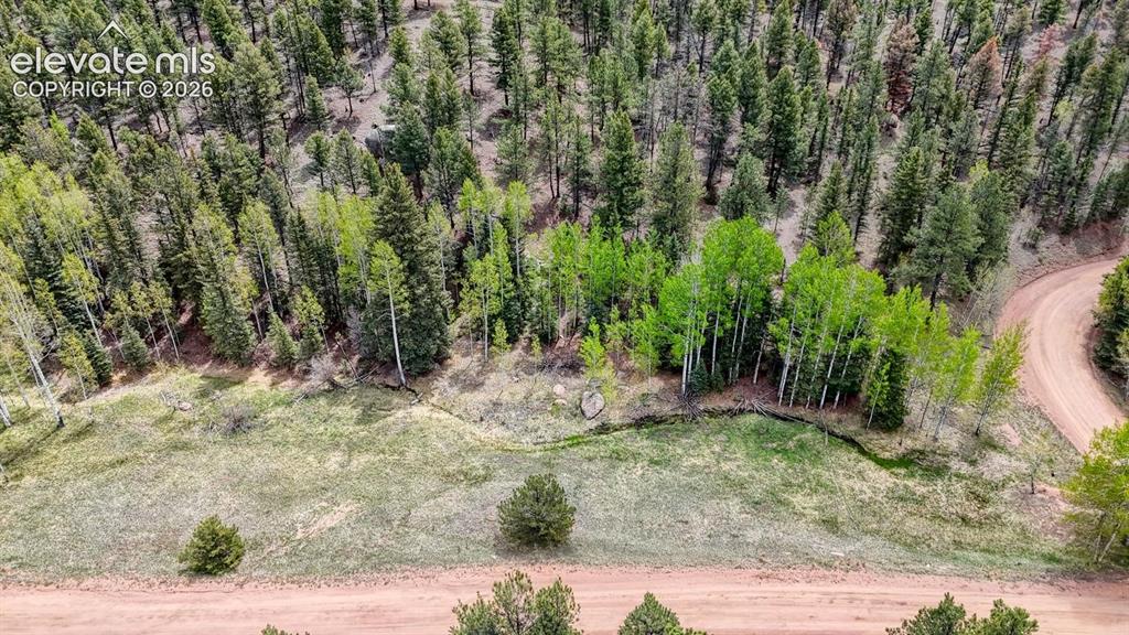 42 Rabbit Circle Florissant, CO 80816 - Photo 19 of 20 a view of a yard with plants and trees