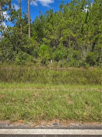$119,900 | 0 Swamp Road, Waycross, GA 31503