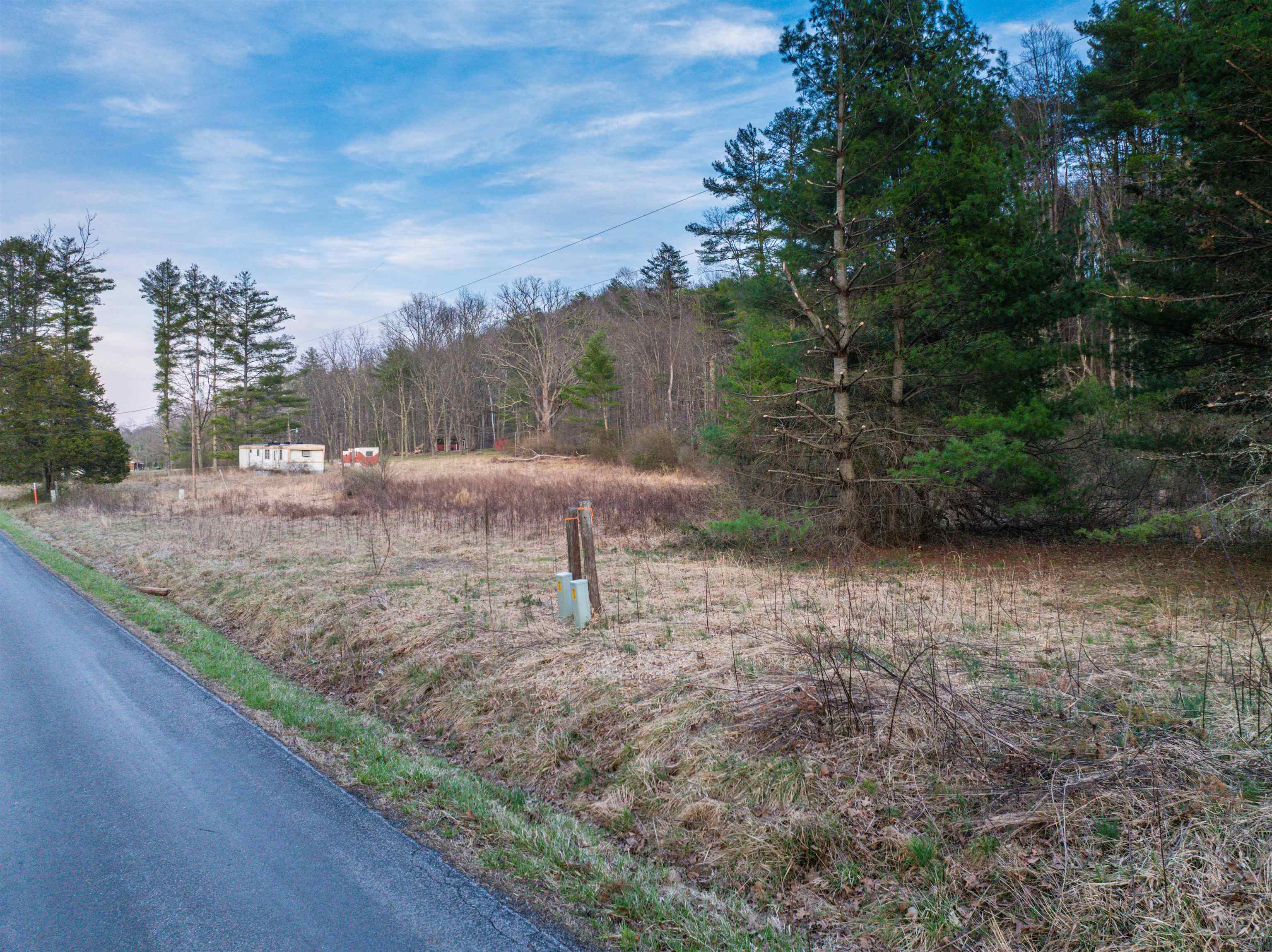 4358 Deerfield Valley Road Deerfield, VA 24432 - Photo 10 of 28 a view of a dry yard with trees