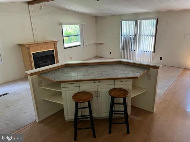 17272 Ridge Line Drive Lewes, DE 19958 - Photo 11 of 24 Wonderful Breakfast bar