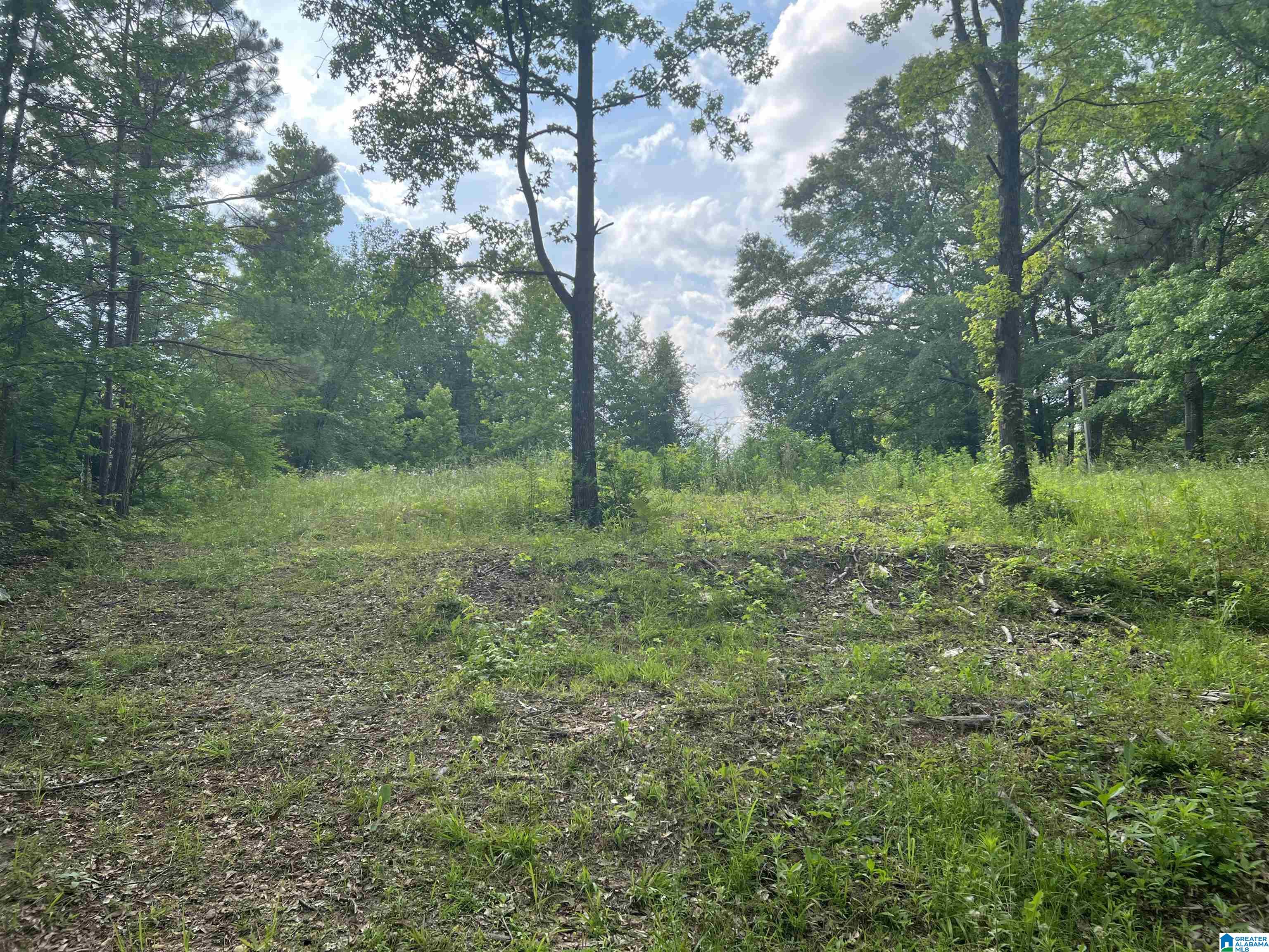 0 County Road 91, Unit 1 Montevallo, AL 35115 - Photo 2 of 4