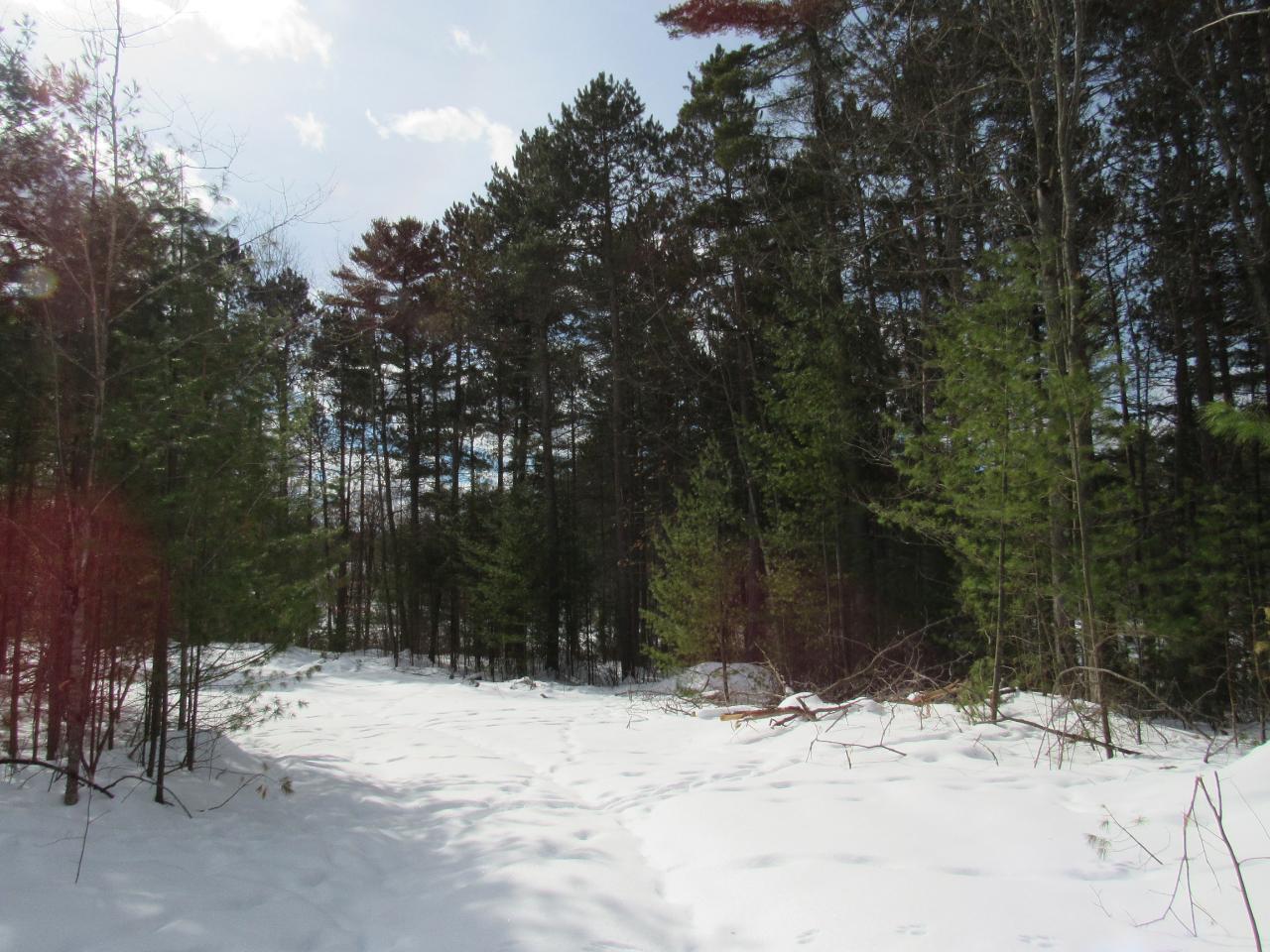 0 Bolger Lake Road Minocqua, WI 54548 - Photo 13 of 21 Gallery Image 13