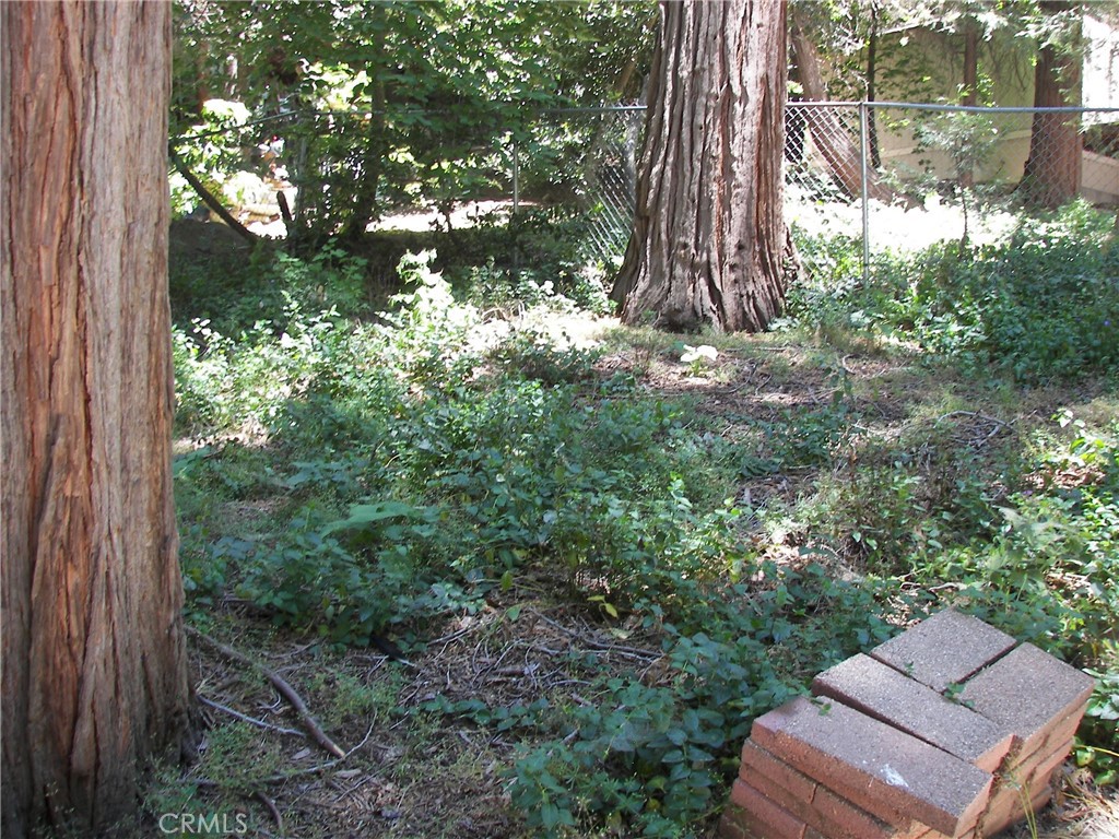 1101 Big Tree Lane Crestline, CA 92325 - Photo 26 of 30 a view of a yard with plants and a bench