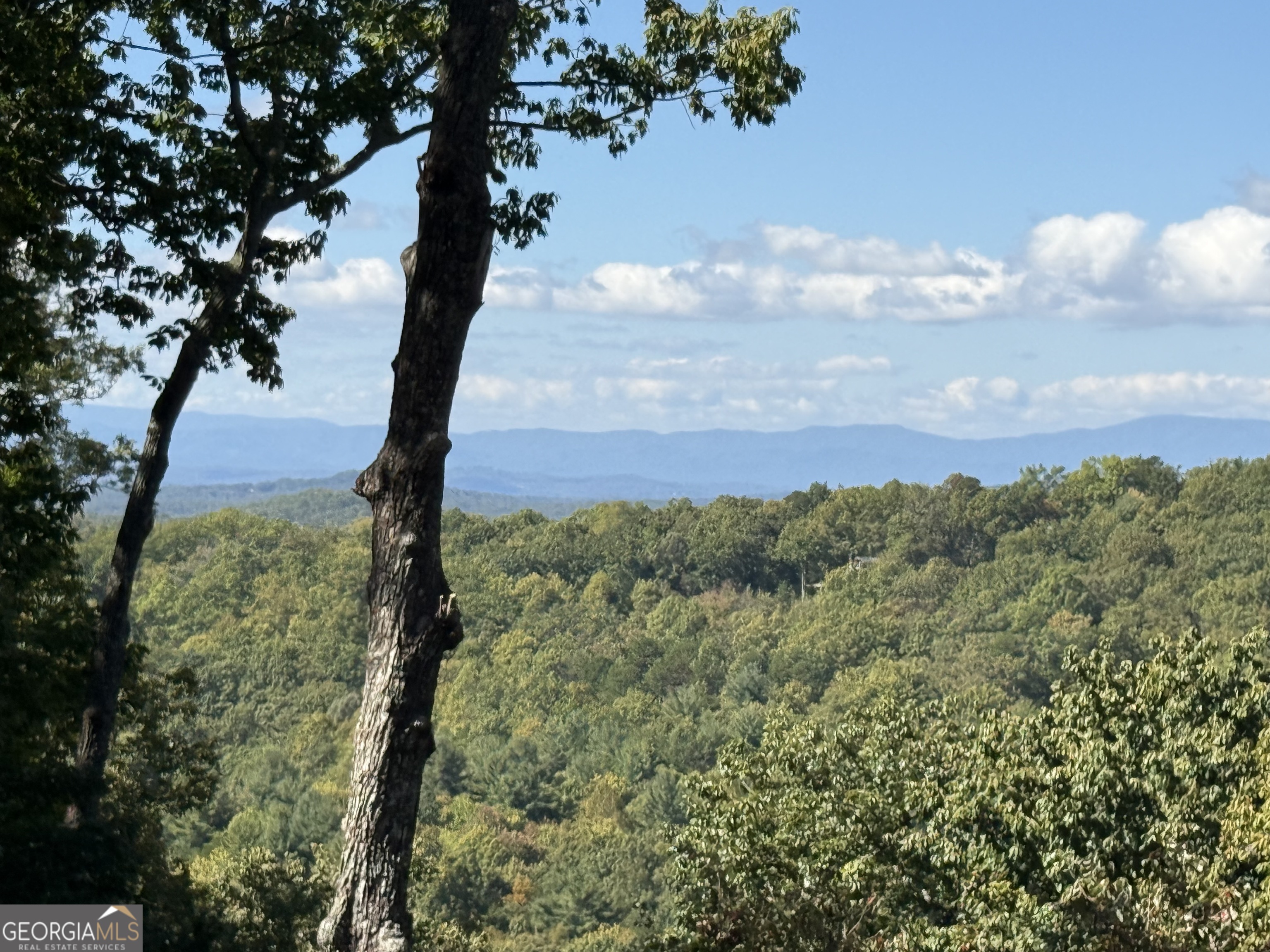 97 Deer Ridge Road Morganton, GA 30560 - Photo 3 of 62