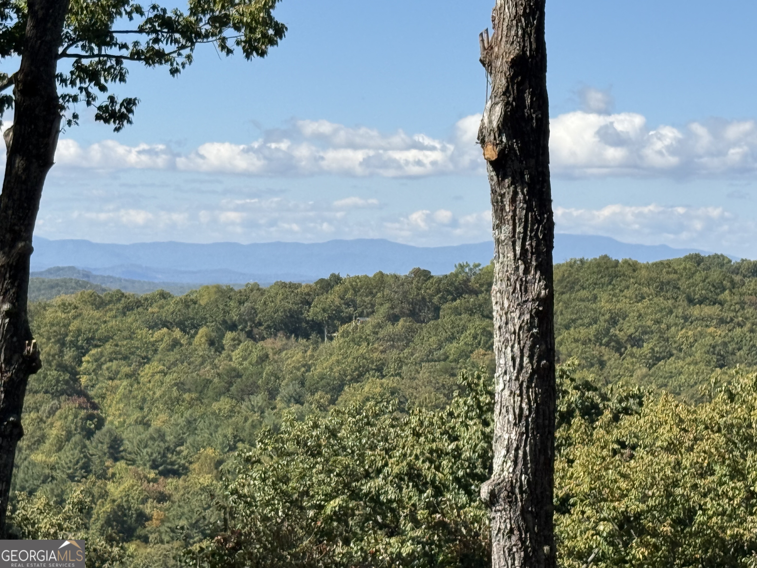 97 Deer Ridge Road Morganton, GA 30560 - Photo 4 of 62