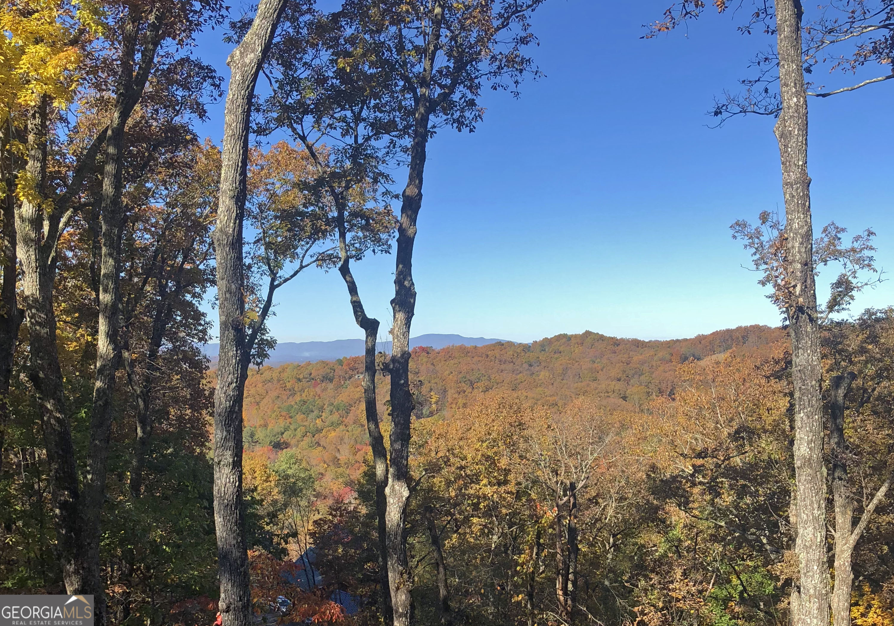 97 Deer Ridge Road Morganton, GA 30560 - Photo 61 of 62