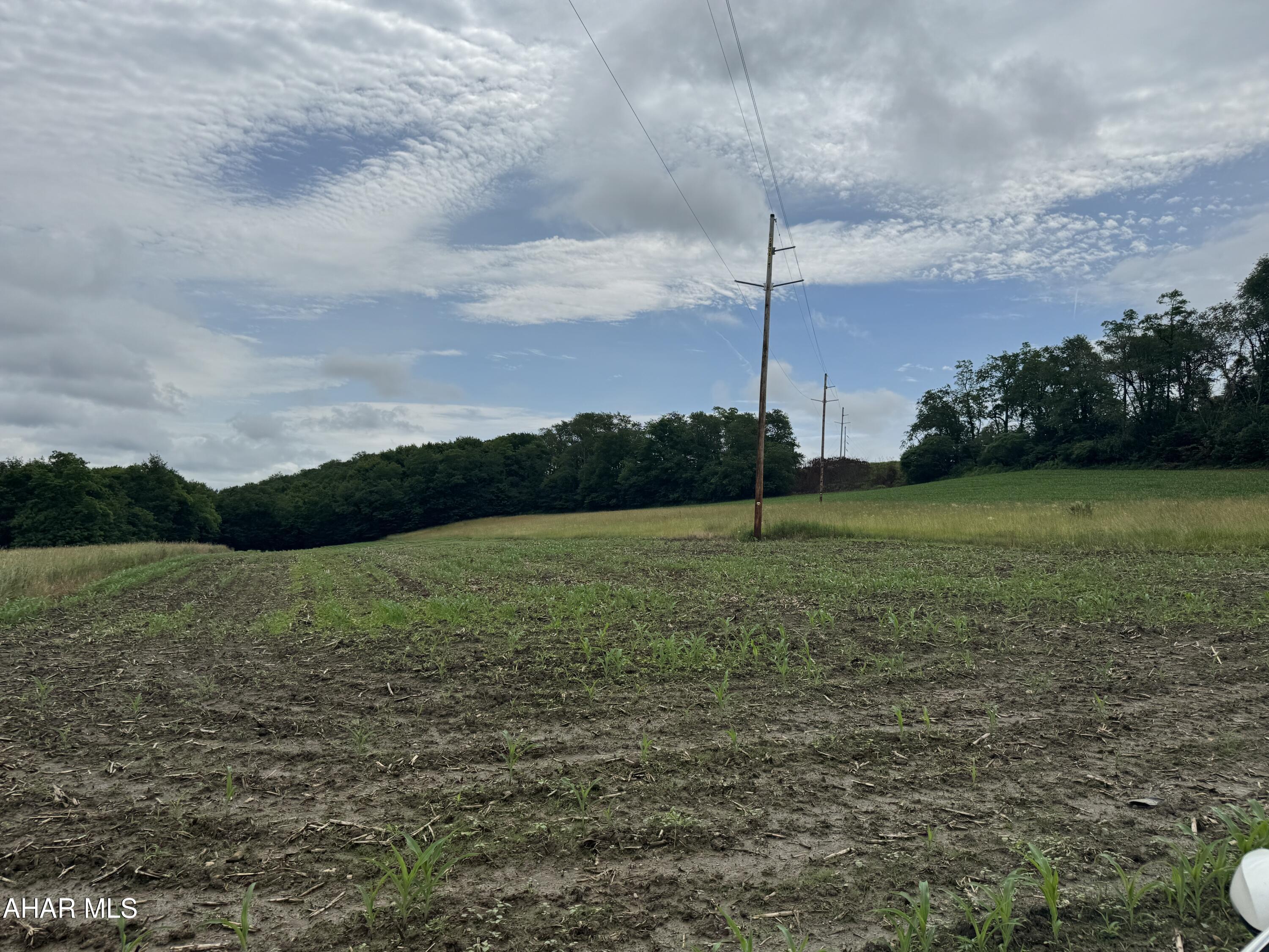 0 Magee Road Patton, PA 16668 - Photo 3 of 4 Gallery Image 3