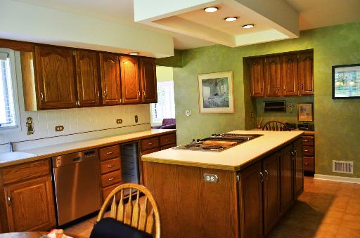 2117 Mulguy Court Inverness, IL 60010 - Photo 5 of 16