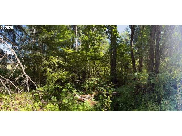 Snowden Road White Salmon, WA 98672 - Photo 19 of 26