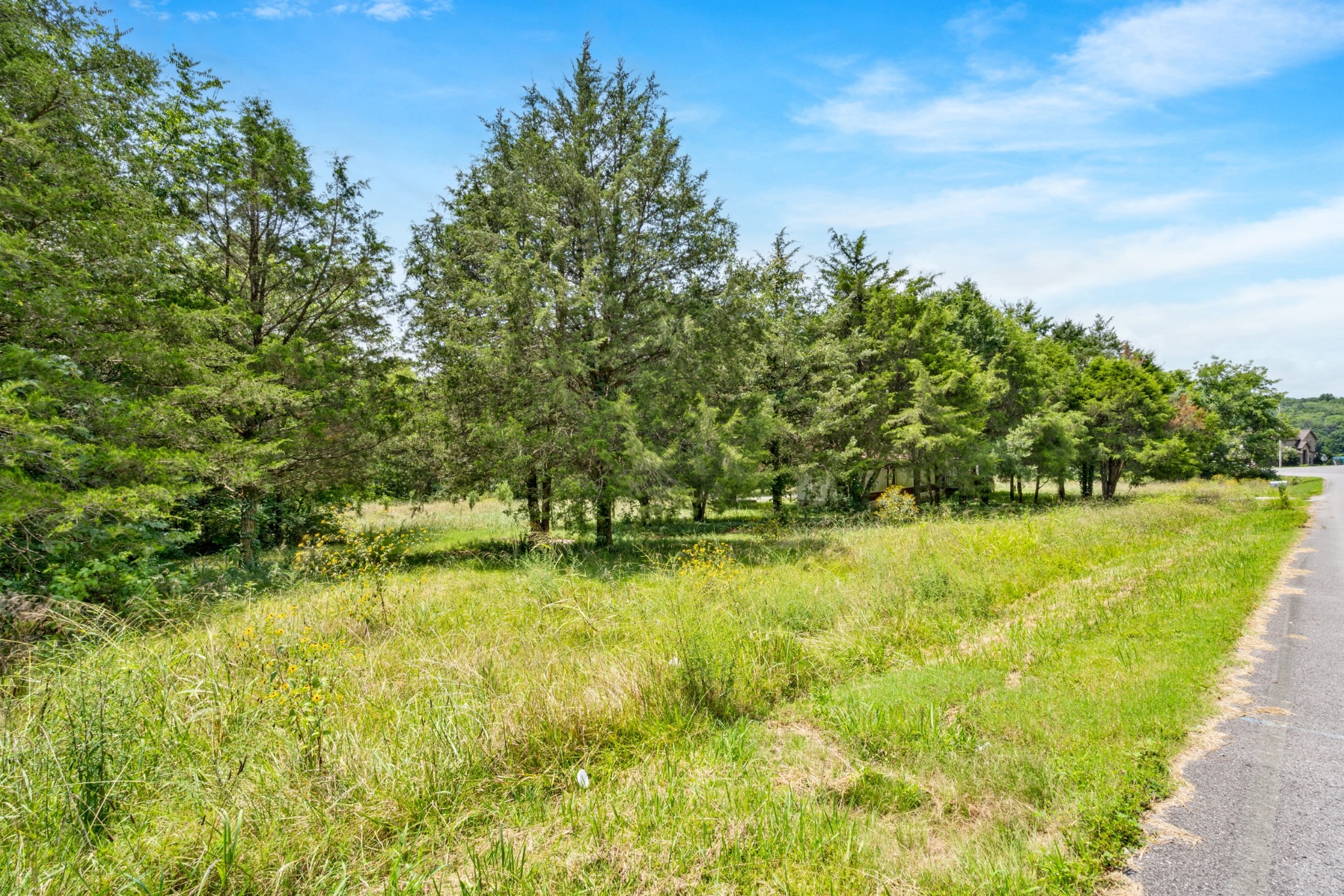 816 Holloway Road Lebanon, TN 37090 - Photo 5 of 8
