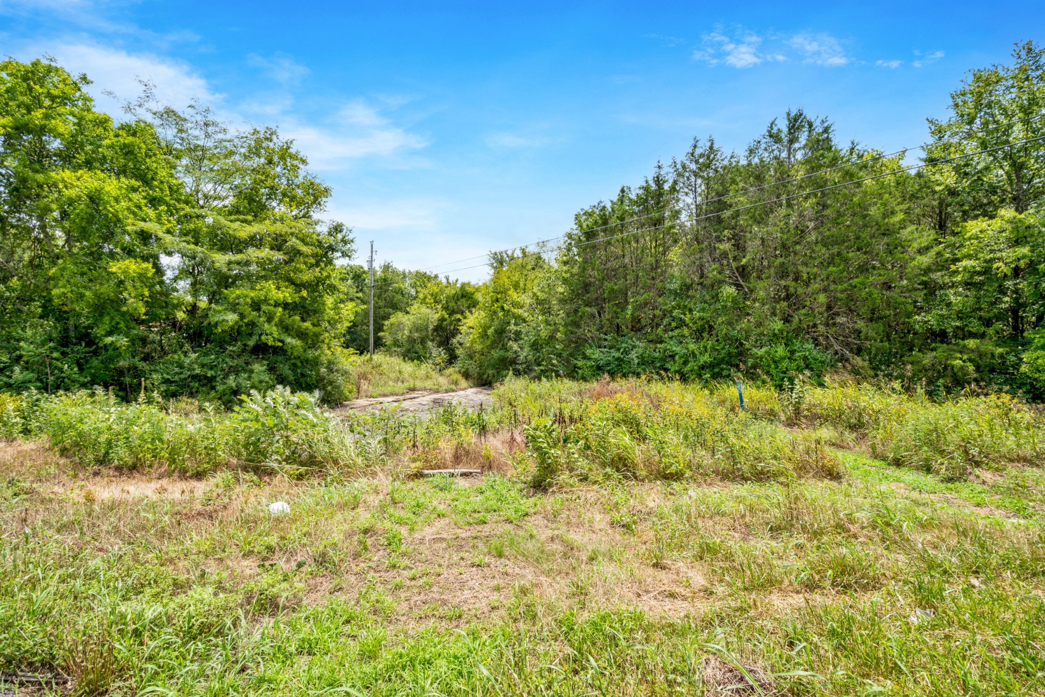 816 Holloway Road Lebanon, TN 37090 - Photo 6 of 8