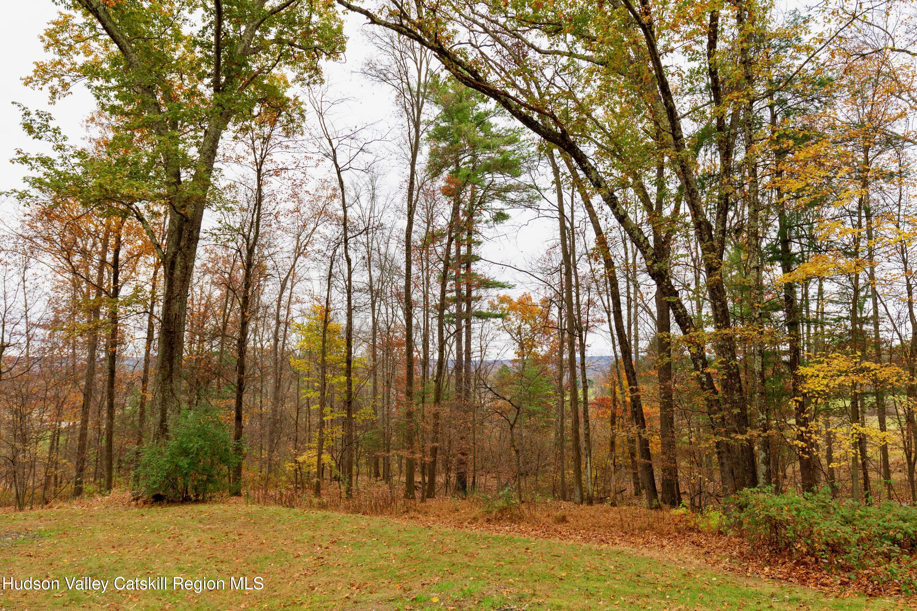 116 Krum Road Kerhonkson, NY 12446 - Photo 39 of 52 FINAL 116 KRUM EXTERIORS - JESSE - 22