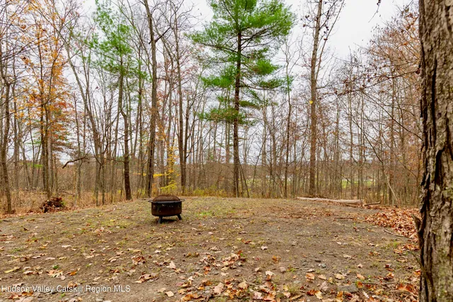 a view of outdoor space and a yard