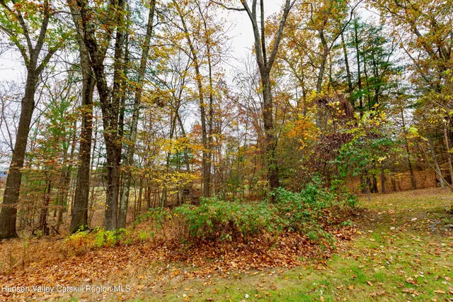 a backyard of a house with large trees
