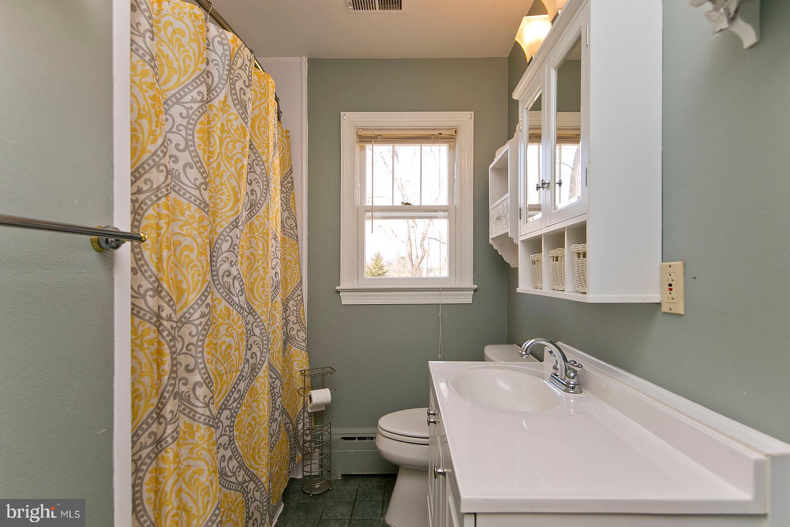 325 Berrys Ferry Road White Post, VA 22663 - Photo 28 of 60 a bathroom with a sink toilet and shower