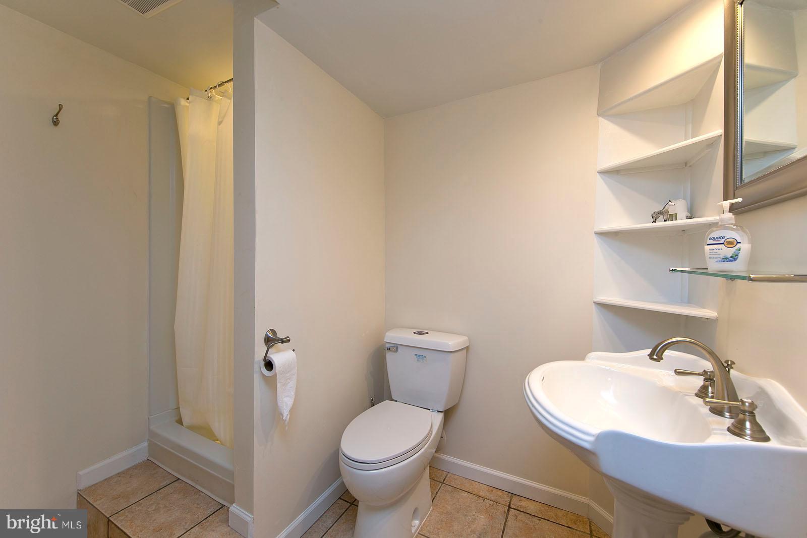 325 Berrys Ferry Road White Post, VA 22663 - Photo 40 of 60 a bathroom with a sink and a toilet