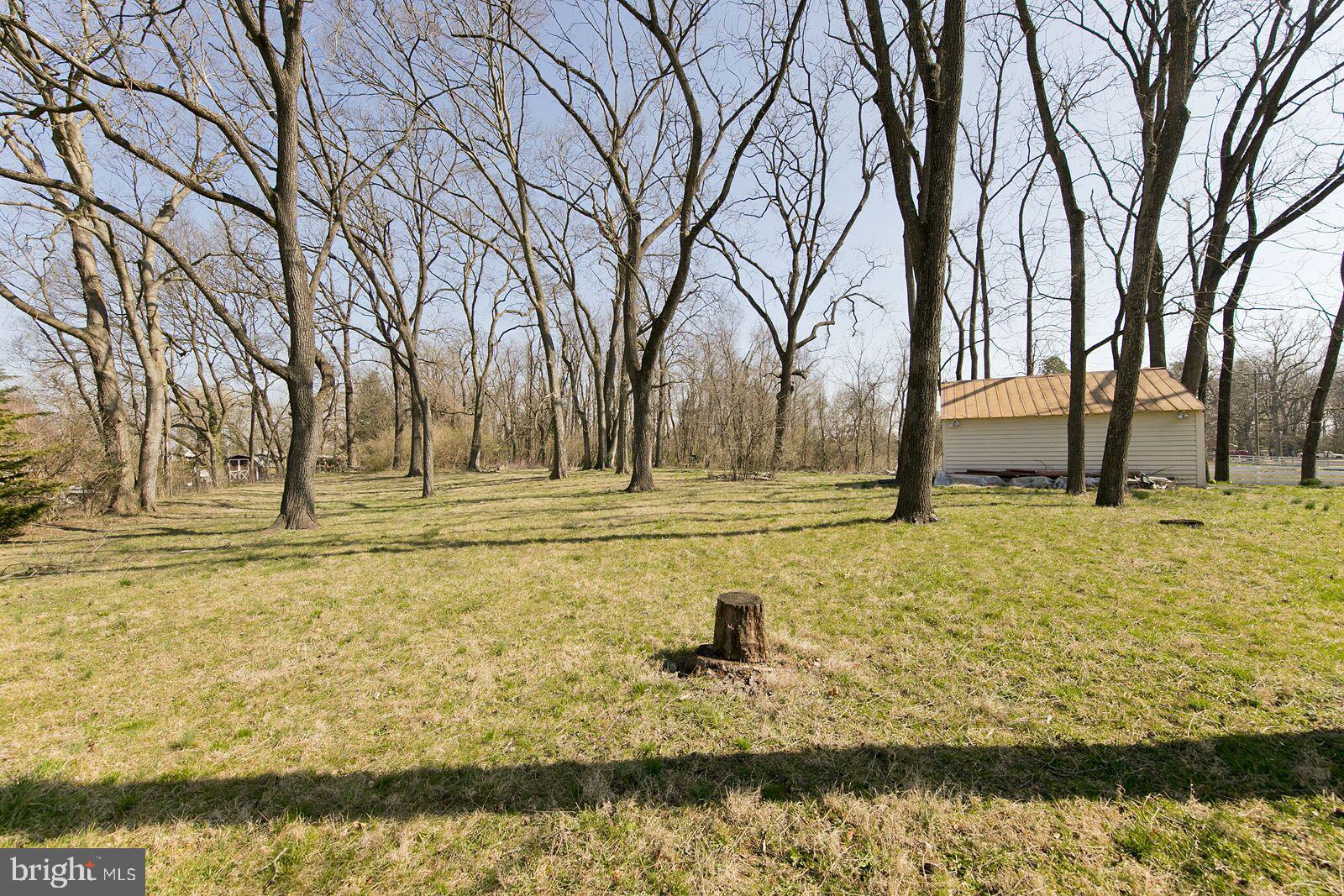 325 Berrys Ferry Road White Post, VA 22663 - Photo 50 of 60 Nice, level lot