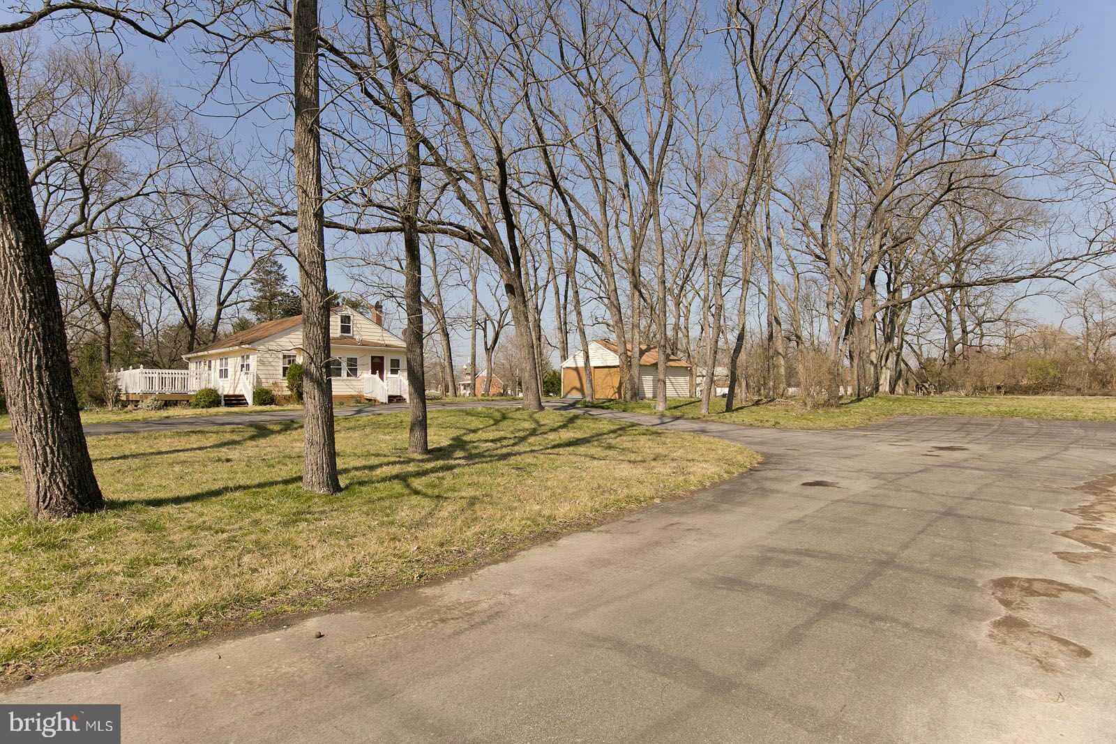 325 Berrys Ferry Road White Post, VA 22663 - Photo 51 of 60 a view of yard with trees
