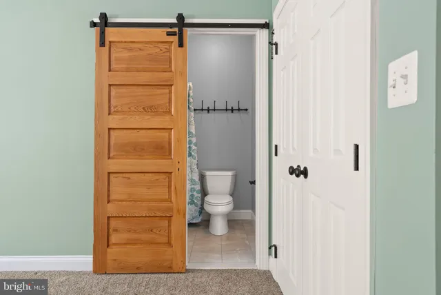 a view of a trees in a park