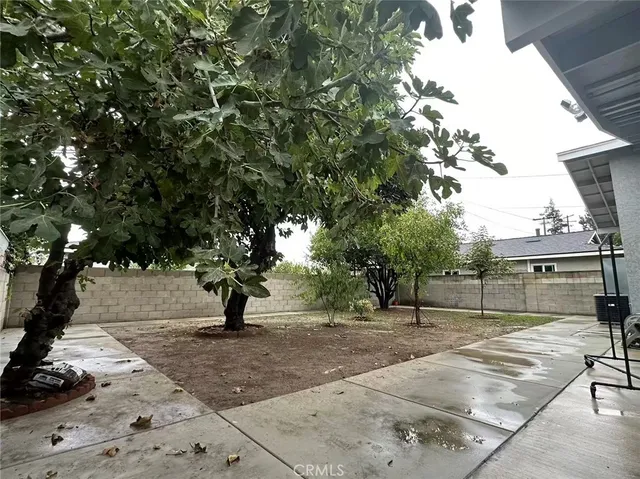 a view of outdoor space with deck and tree