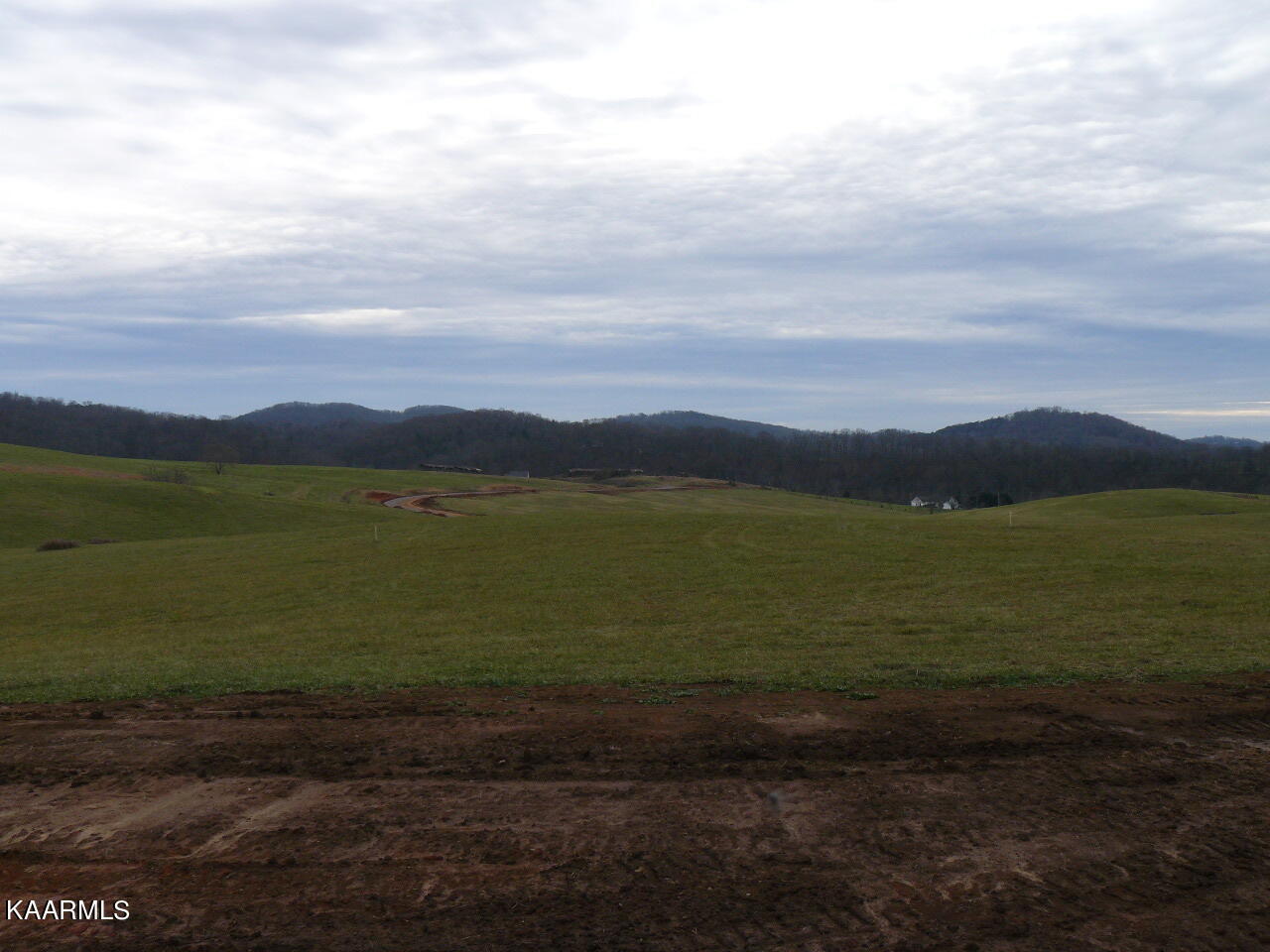 Lot 53 Schertz Lane Rutledge, TN 37861 - Photo 4 of 4 P1420060