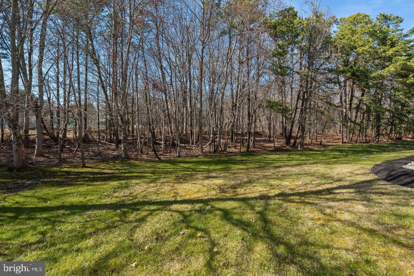 87 Eldon Way Marlton, NJ 08053 - Photo 17 of 22 a view of a yard with a trees