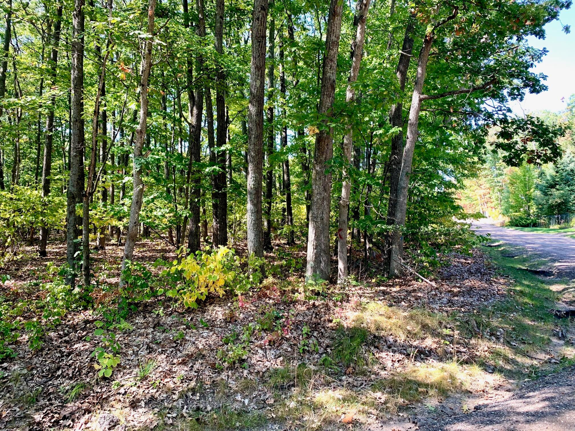 305 Summit Road Roscommon, MI 48653 - Photo 11 of 14 Gallery Image 11